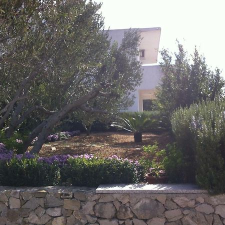 Apartman Stulic Makarska Exterior foto